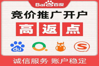 百度竞价代理全攻略：成功案例分享